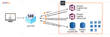 AWS Infrastructure